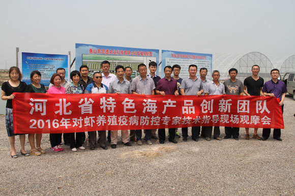 huangjiehebei2.jpg huangjiehebei2.jpg